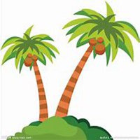 微信椰子树头像_高清椰子树微信头像