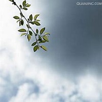 微信榆树头像_高清榆树微信头像