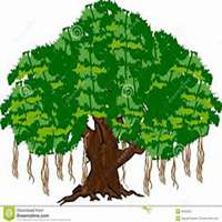 微信榕树头像_高清榕树微信头像