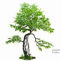 微信榕树头像_高清榕树花朵图片大全