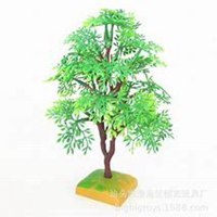 微信槐树头像_高清槐树微信头像