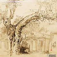 微信槐树头像_高清槐树微信头像