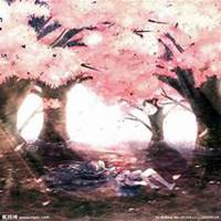 微信樱花头像_高清樱花花朵图片大全