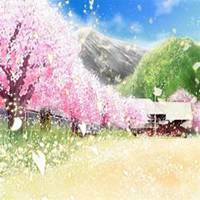 微信樱花头像_高清樱花花朵图片大全