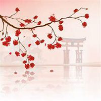 微信樱花头像_高清樱花花朵图片大全