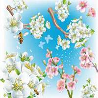 微信樱花头像_高清樱花花朵图片大全