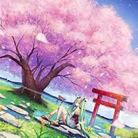 微信樱花头像_高清樱花花朵图片大全