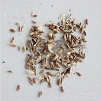 微信油桐树头像_高清油桐树微信头像