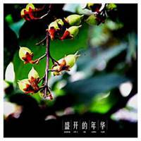 微信油桐树头像_高清油桐树微信头像