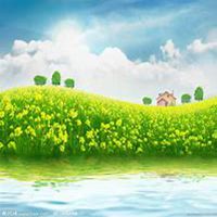 微信油菜花头像_高清油菜花花朵图片大全