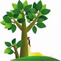 微信泡桐树头像_高清泡桐树微信头像