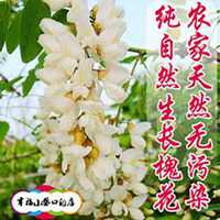 微信洋槐树头像_高清洋槐树微信头像