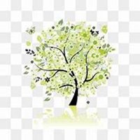 微信洋槐树头像_高清洋槐树微信头像