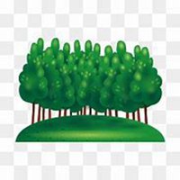 微信洋槐树头像_高清洋槐树微信头像