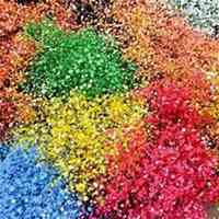 微信满天星头像_高清满天星花朵图片大全