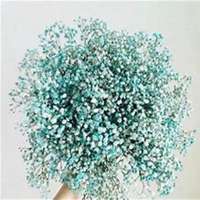 微信满天星头像_高清满天星花朵图片大全