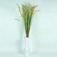 微信狗尾巴草头像_高清狗尾巴草花朵图片大全