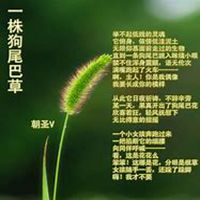 微信狗尾巴草头像_高清狗尾巴草花朵图片大全