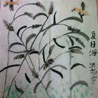 微信狗尾巴草头像_高清狗尾巴草花朵图片大全