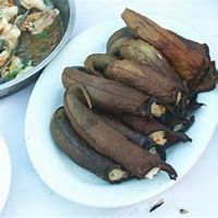 微信猪笼草头像_高清猪笼草花朵图片大全