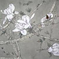 微信玉兰花头像