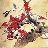 微信玉兰花头像