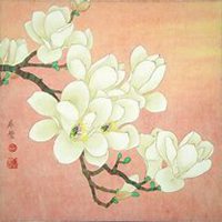 微信玉兰花头像