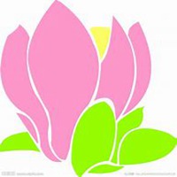 微信玉兰花头像