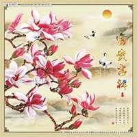 微信玉兰花头像