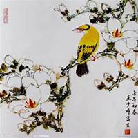 微信玉兰花头像_高清玉兰花花朵图片大全