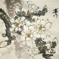 微信玉兰花头像_高清玉兰花花朵图片大全