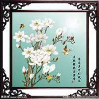 微信玉兰花头像_高清玉兰花花朵图片大全