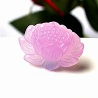 微信玉莲头像_高清玉莲花朵图片大全