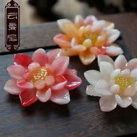 微信玉莲头像_高清玉莲花朵图片大全