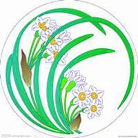 微信白兰花头像_高清白兰花花朵图片大全