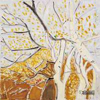 微信白桦树头像_高清白桦树微信头像