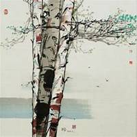 微信白桦树头像_高清白桦树微信头像