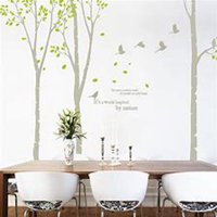 微信白桦树头像_高清白桦树微信头像