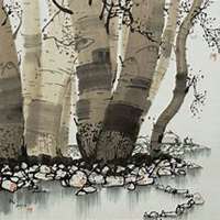 微信白桦树头像_高清白桦树微信头像