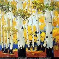 微信白桦树头像_高清白桦树微信头像