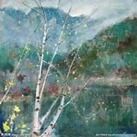 微信白桦树头像_高清白桦树微信头像