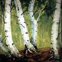 微信白桦树头像_高清白桦树微信头像