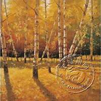 微信白桦树头像_高清白桦树微信头像