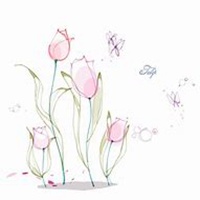 微信百合花头像_高清百合花花朵图片大全