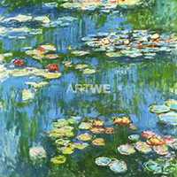 微信睡莲头像_高清睡莲花朵图片大全