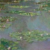 微信睡莲头像_高清睡莲花朵图片大全