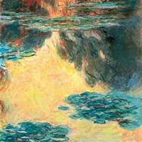 微信睡莲头像_高清睡莲花朵图片大全