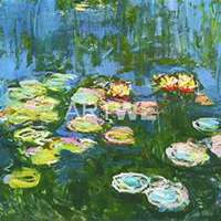 微信睡莲头像_高清睡莲花朵图片大全