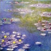 微信睡莲头像_高清睡莲花朵图片大全