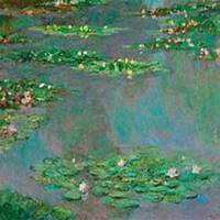 微信睡莲头像_高清睡莲花朵图片大全